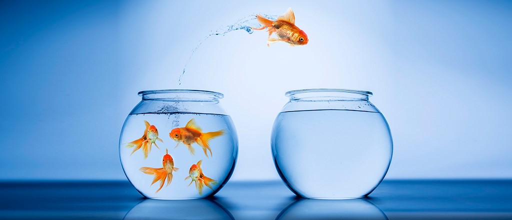  Entrepreneur Tips Quotes
